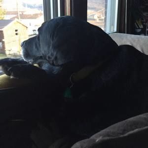 Meet your Posher, Stacey